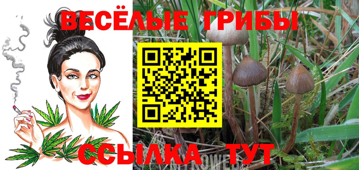 Псилоцибиновые грибы MAGIC MUSHROOMS  Псилоцибиновые грибы Magic Shrooms  Малгобек  Вход с VPN 